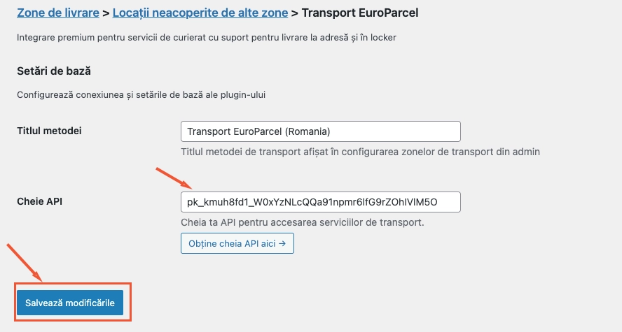 Paste API key and save